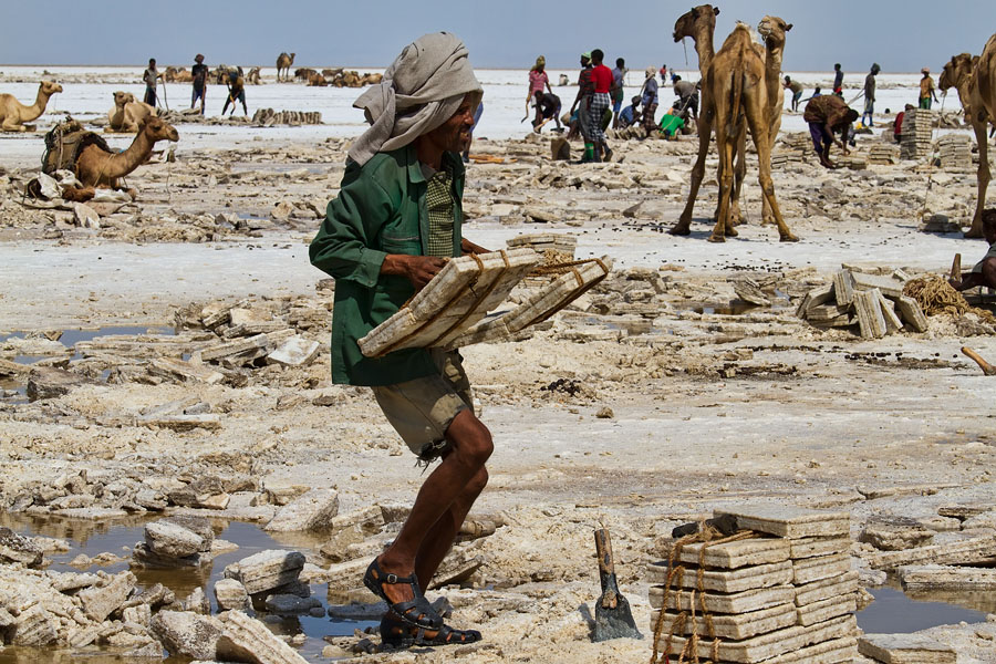  Hard work by the saltworkers on Lake Asale   Ethiopia